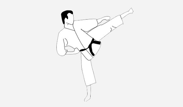 Martial Arts Software Suppliers