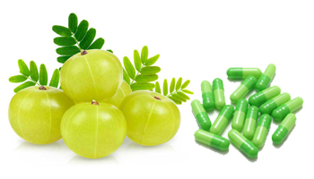 Amla Capsules Suppliers