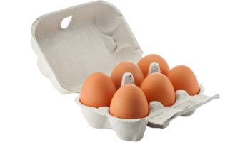 Organic Egg Suppliers