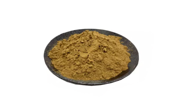 Root and Vegetable Extracts Suppliers in Puttur