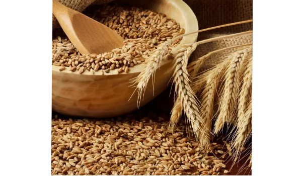 Whole Grains Suppliers in Salem