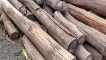 Sheesham Wood Suppliers