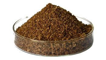 Microbial Feed Additive Suppliers