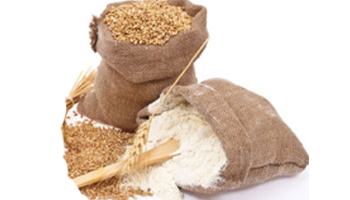 Barley Flour Suppliers