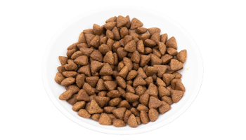 Cat Food Suppliers