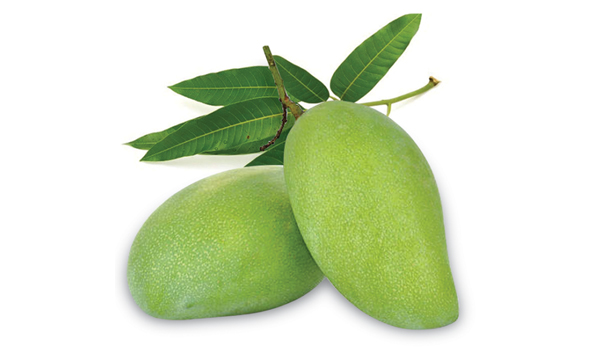 Raw Mango Suppliers in Shoranur