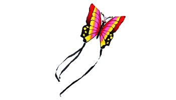 Kites & Flight Toys Suppliers