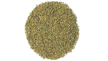 Kodo Millet Suppliers in Sholavandan