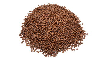 Fish Foods Suppliers in Sawantwadi