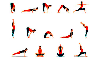 Yoga Chart Suppliers