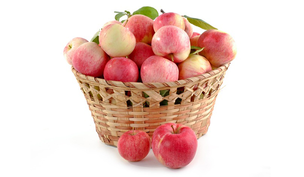 Apple Suppliers in Shahpur