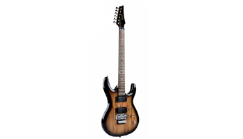 Electric Guitars Suppliers