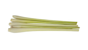 Lemongrass Suppliers in Varkala