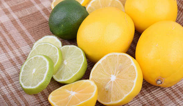 Citrus Fruits Suppliers