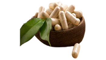 Arjuna Capsules Suppliers