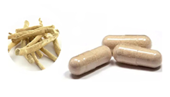 Ashwagandha Capsules Suppliers