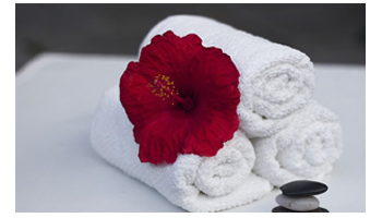 Hotel Towel Suppliers in Umreth