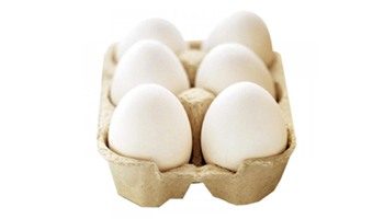 Poultry Eggs Suppliers