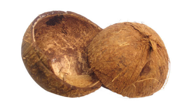 Coconut Shell Suppliers