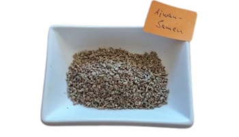 Ajwain Suppliers in Osmanabad