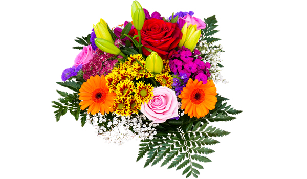 Fresh Flowers, Plants & Trees Suppliers in Kenya