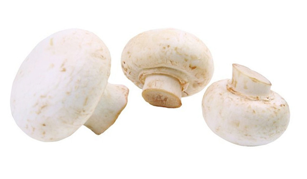 Button Mushrooms Suppliers in Silao