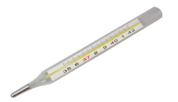 Glass Thermometers Suppliers in Yamunanagar