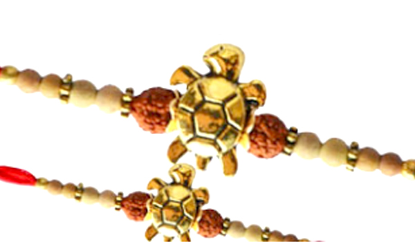 Rudraksha Rakhis Suppliers in Taki