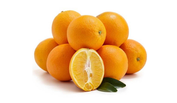 Navel Orange Suppliers