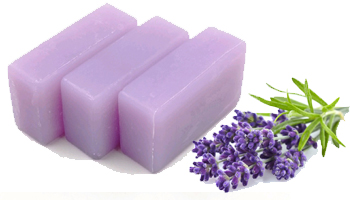 Lavender Soap Suppliers