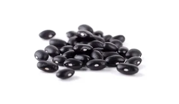 Black Soybean Suppliers