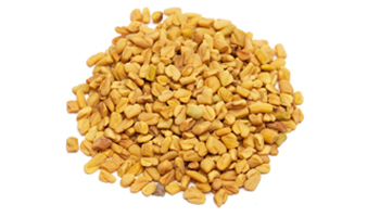 Methi Seeds (Fenugreek) Suppliers in Chalakudy