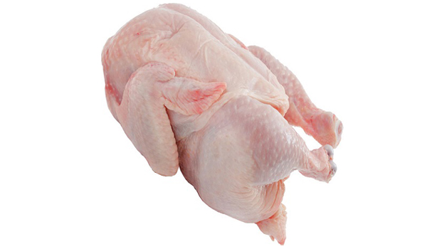 Halal Frozen Whole Chicken Suppliers