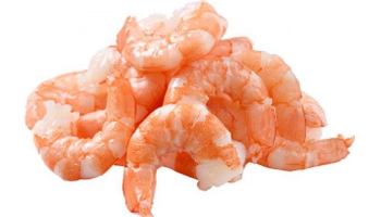 Vannamei Prawn Suppliers