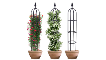 Garden Trellis Suppliers