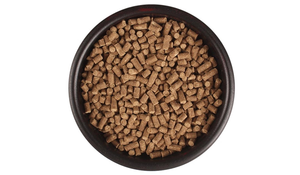 Fish Pellet Food Suppliers in Washim