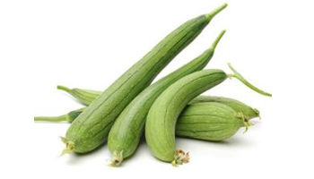 Ridge Gourd Suppliers