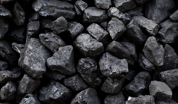 Black Coal Suppliers