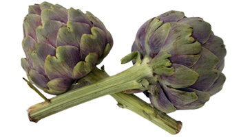 Artichoke Suppliers