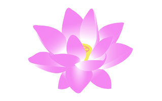 Lotus Flower Suppliers