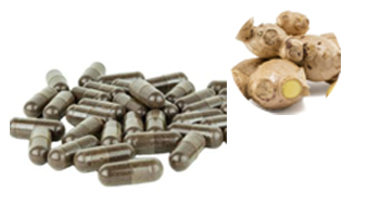 Ginger Capsules Suppliers