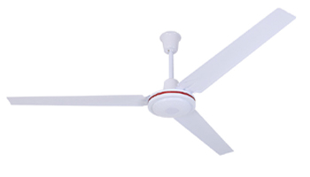 Electrical Ceiling Fans Suppliers in Wai