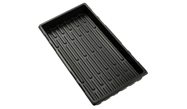 Trays Suppliers