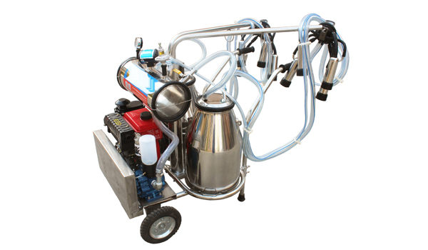 Milking Machine Suppliers in Raikot