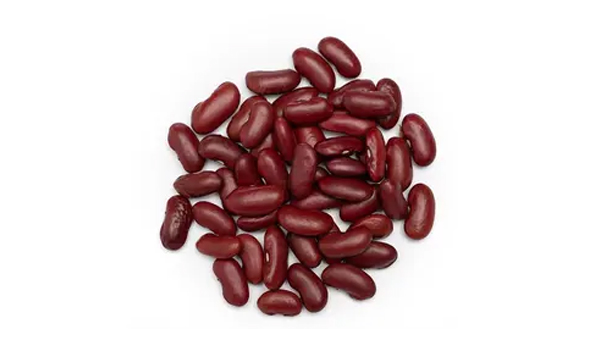 Rajma (Kidney Beans) Suppliers in Lucknow