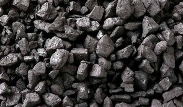 Assam Coal Suppliers in Rapar