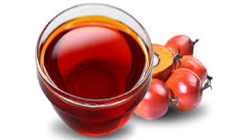 Palm Kernel Oil Suppliers