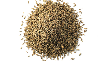 Cumin Seeds Suppliers in Lachhmangarh