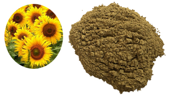 Sunflower Seed Meal Suppliers