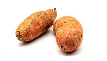 Yam Suppliers in O' Valley